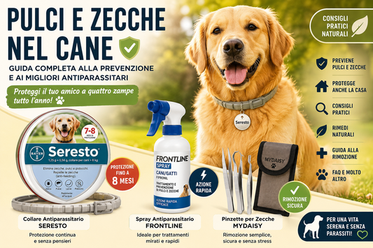 Cane felice durante una passeggiata all'aperto protetto da pulci e zecche. Guida completa alla prevenzione antiparassitaria per cani 2026.
