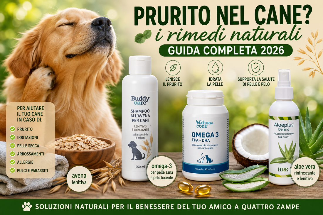 Cane felice con pelo sano in un prato verde dopo un trattamento naturale per alleviare il prurito, con shampoo lenitivo, Aloe Vera e Omega-3.