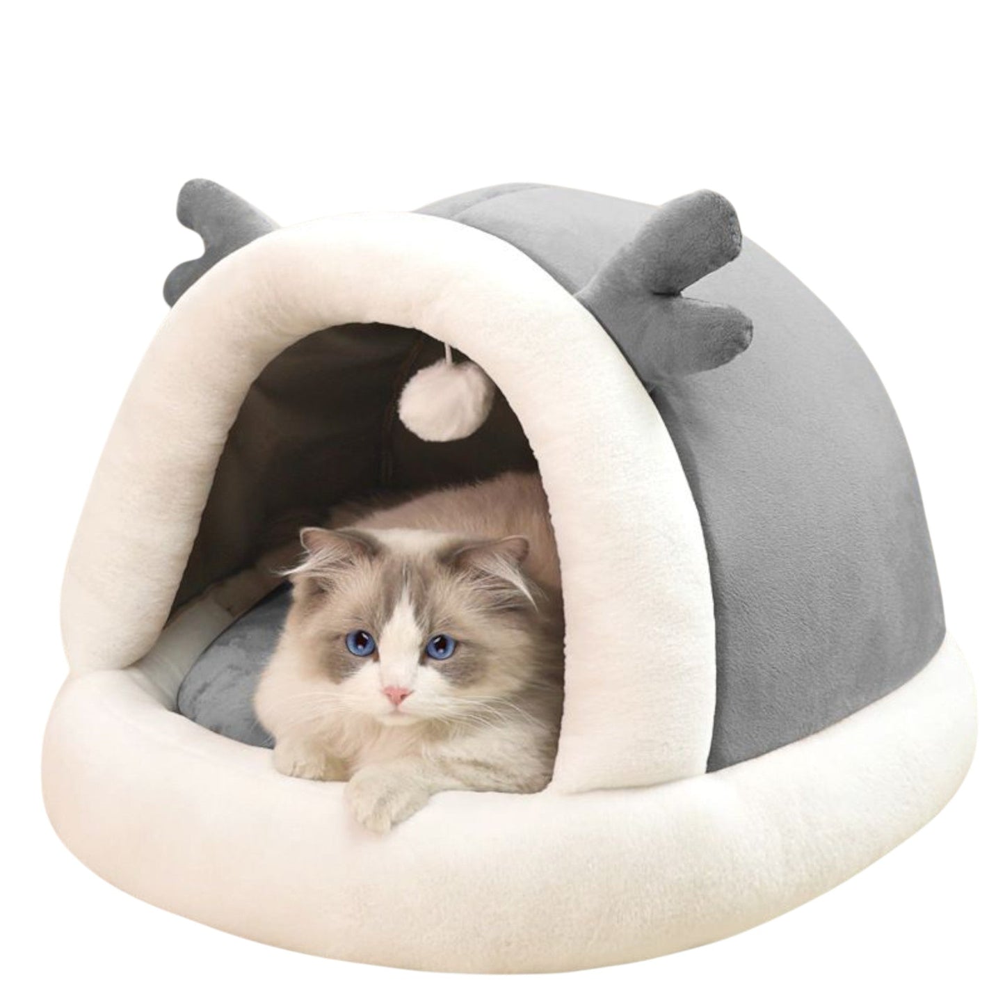 Casa gatti design originale cane accessori pet care