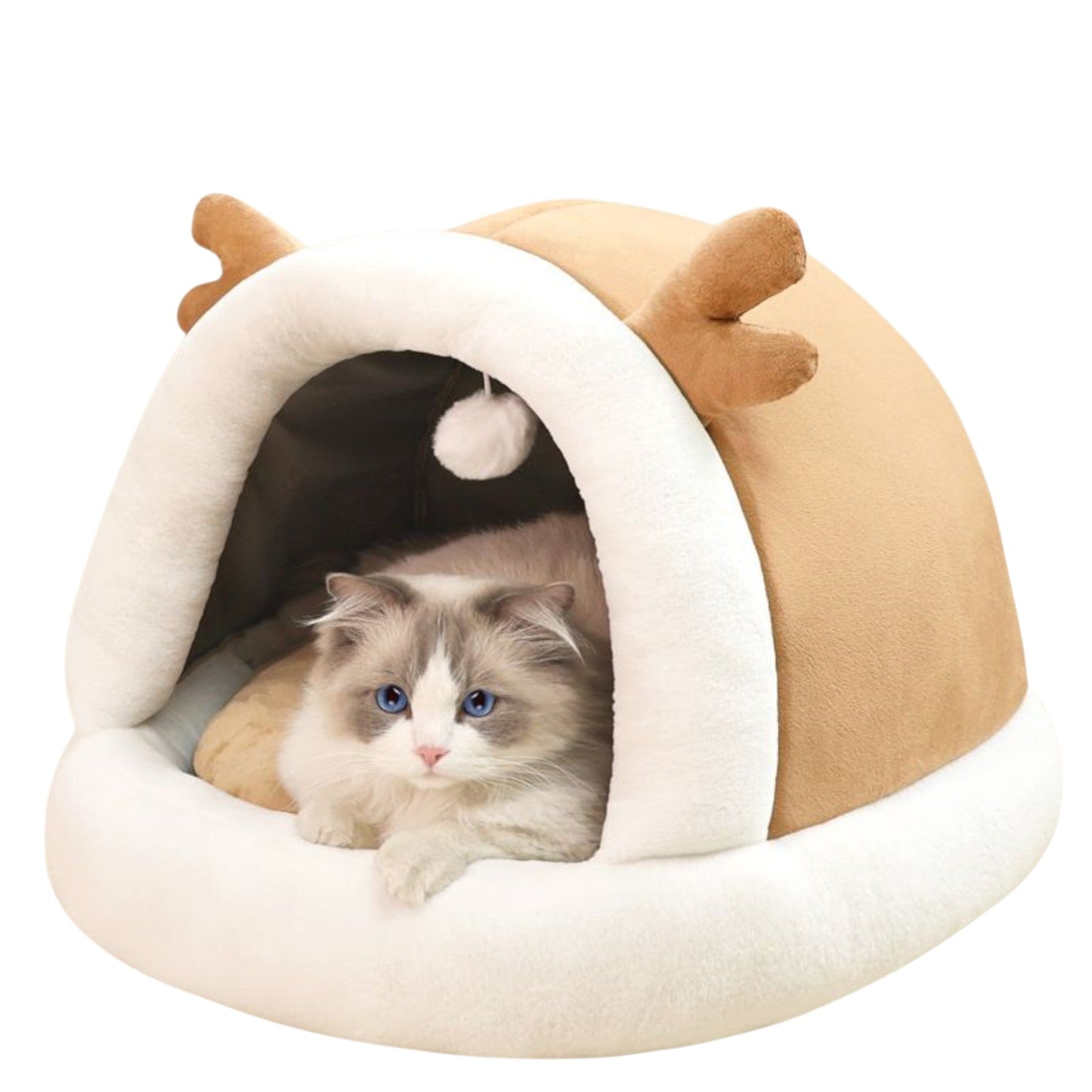 Cuccia gatti forma cane morbida calda semi chiusa